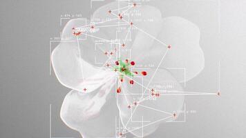 dator syn med objekt igenkännande scanner täcka över. stor data. cCTV ai gränssnitt läser in. klick spårning rader, koordinater, avgränsning lådor. plexus stil anslutningar. enda blomning blomma video