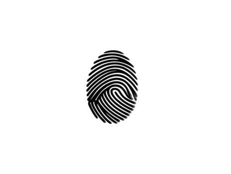 impressão digital biométrico segurança identificação Preto isolado digital padronizar único pessoal tecnologia autenticação crime forense Acesso privacidade Varredura abstrato detalhe fechar-se textura redemoinho ciclo png