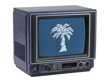 Vintage ▾ televisione con blu schermo visualizzazione pixelated palma albero, retrò tecnologia, nostalgico umore, vecchio stile tv, analogico dispositivo, classico elettronica, isolato su trasparenza sfondo png