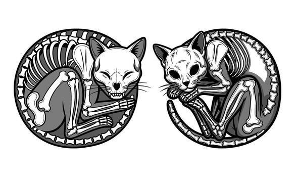 Two detailed skeleton cat designs curled up within circular frames unique artistic representation vector