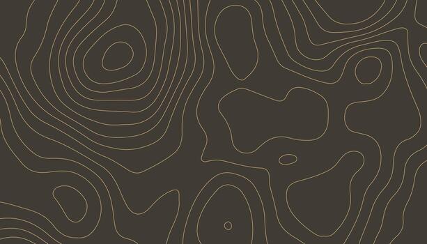 Topographic Map Pattern Background Design vector