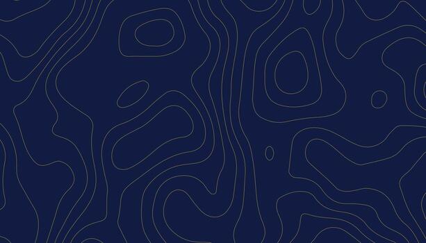 Abstract Topographic Contour Line Map Background vector