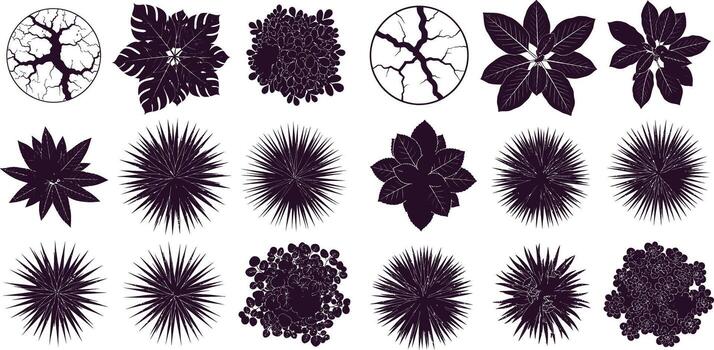 Various top view trees and shrub silhouette illustration set for landscaping projects vector