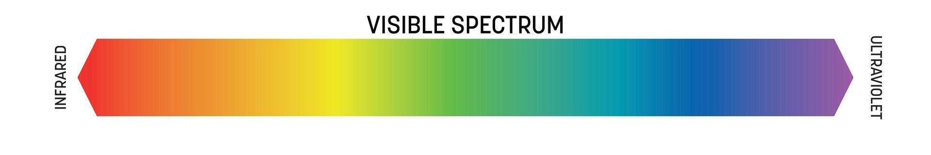 Visible spectrum of light. Electromagnetic spectrum visible by human eye. Simple schematic banner with rainbow gradient effect. illustration vector