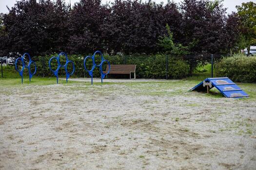 Outdoor dog training area with blue agility obstacles, open exercise space and greenery in the background, designed for pets to practice jumping, running and training skills in a safe environment photo