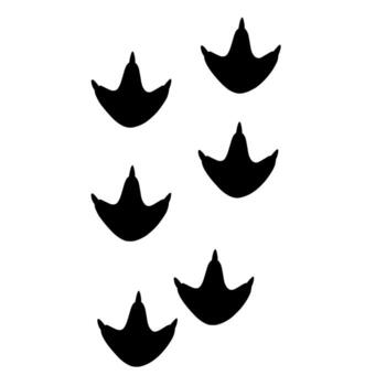 ilustración de múltiple Pato huellas formando un caminando camino, representando animal camino, pájaro movimienot, y fauna silvestre rastreo modelo concepto vector