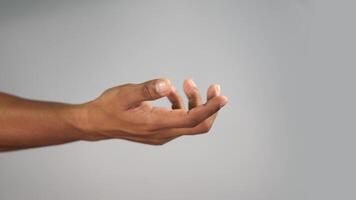 närbild hand gest ingenting i hand uttryck med öppen handflatan på rena studio bakgrund video