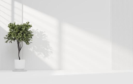 White wall empty space background with plant and light for architecture showing space 3d rendering photo