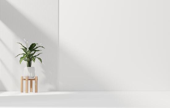 White wall empty space background with plant for architecture copy space showing space 3d rendering photo