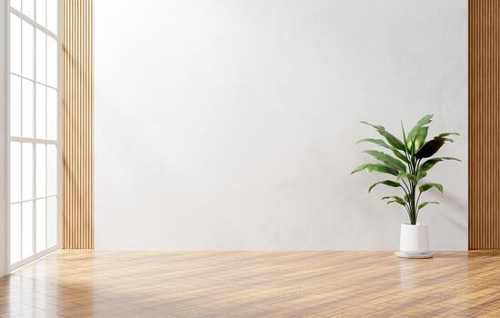 White wall and wood empty space background with plant for architecture showing space 3d rendering photo