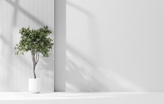 White wall space empty background with plant for architecture showing space 3d rendering photo