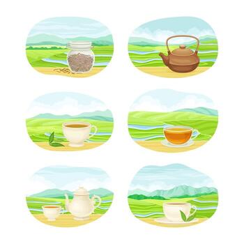 Tea preparation and enjoyment illustrations vector