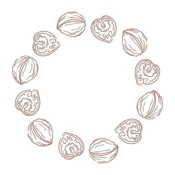 Circular wreath with walnut and kernel on a white background in a line art style. vector