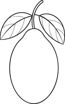 Simple outline drawing of miracle fruit with two leaves and stem botanical line art perfect for creative design use vector