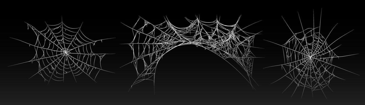 Halloween old spooky cobweb with various sizes and shapes. vector