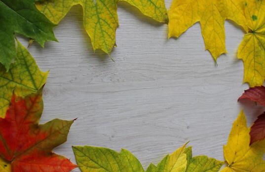 Frame on the Edges of Oak Board Surface Made with Various Autumn Fallen Leaves photo