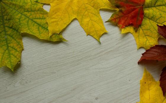 Seasonal Background with Different Scattered Multicolored Fallen Leaves on Light Wood Texture with Empty Space for Titles photo