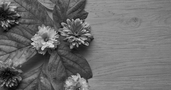 Monochrome pattern of leaves, small flowers and wooden surface with empty space on the side photo