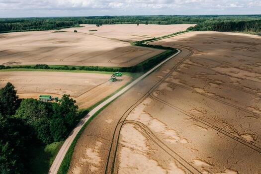 Expansive golden fields with crop patterns, a green combine harvester in action, a narrow road, a tree cluster, and a dense forest on the horizon. photo
