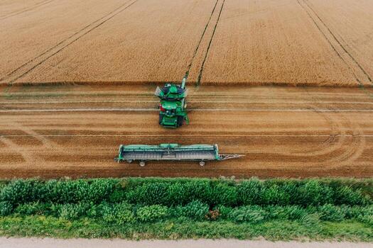A green combine harvester operates in a wheat field, leaving cut rows. A detached header on a trailer and a dirt path with vegetation are visible. photo