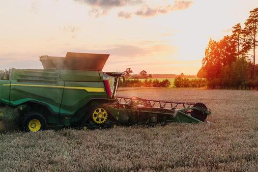 A green and yellow combine harvester operates in a golden wheat field during sunset, with rows of trees and open farmland visible on the horizon. photo