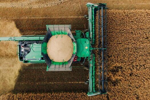 A green combine harvester works in a wheat field, cutting neat rows with its header. The grain tank is filled, showing the process of modern agriculture. photo