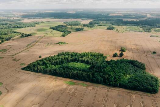 Aerial perspective of a forested area with a winding river cutting through, surrounded by open fields and patches of trees under clear daylight. photo