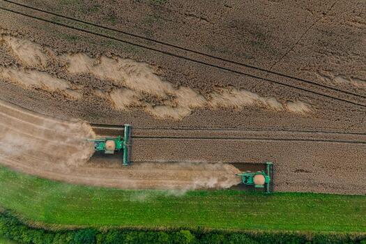 Two green combine harvesters work side by side in a large field, bordered by green grass and trees, leaving parallel tracks and trails of dust. photo