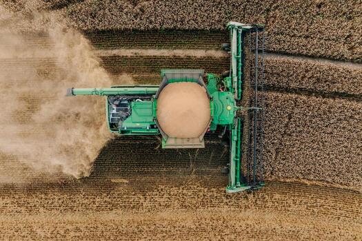 A green combine harvester cuts and collects crops in a field, with its grain tank filled and dust trailing behind. Neatly aligned rows show precision. photo