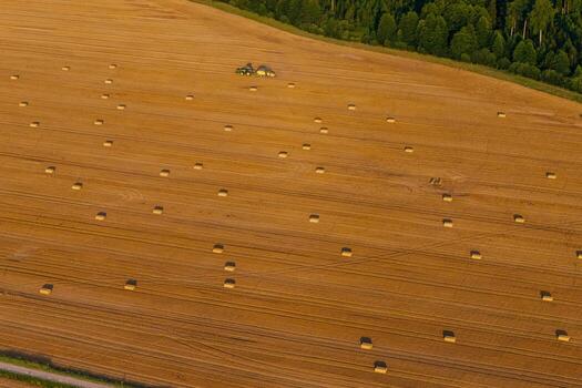 A large golden field with rectangular hay bales, a tractor, and equipment in use. Dense trees form a natural boundary at the upper edge. photo