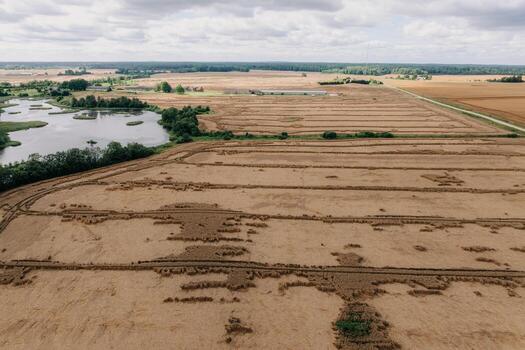 Expansive harvested fields with visible crop patterns, bordered by water with scattered islands and vegetation under a cloudy sky. photo