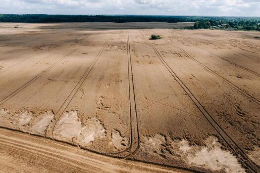 A vast golden field with parallel lines from machinery, patches of flattened crops, a forested border, scattered structures, and a partly cloudy sky. photo