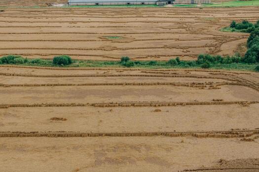 expansivo campos con visible cosecha filas y patrones, intercalado con verde vegetación. un grande industrial o agrícola edificio es visible lejos. foto