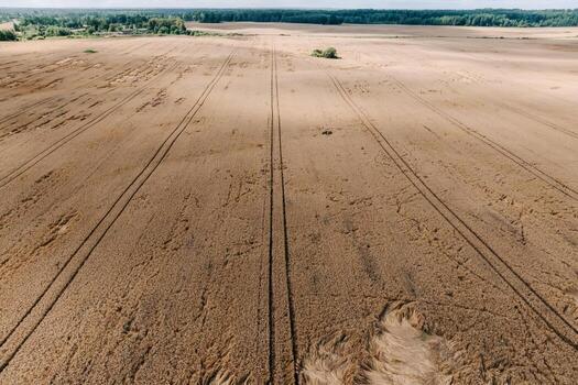 A vast golden field with parallel tire tracks, sparse flattened crops, scattered bushes, and a dense tree line on the horizon. photo