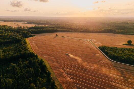 A harvested field with hay bales scattered in rows, a vehicle creating a dust trail, bordered by forests under the warm glow of the setting sun. photo