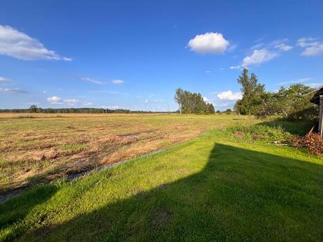 Open Field with Mowed Grass, Trees, and Structure Shadow photo