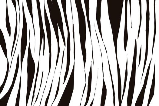 zebra print background with black and white stripes pattern vector