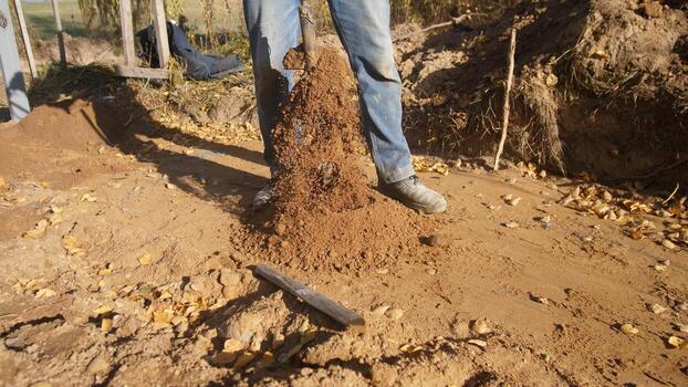 workers are actively loading dirt onto piles, several laborers are shoveling and piling dirt during cleanup, multiple workers wearing casual clothes are shoveling and stacking soil onsite photo