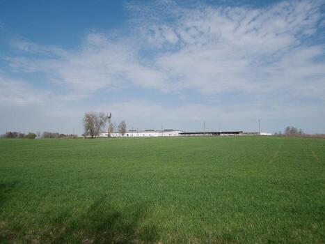 Lush green grass covers the field, while a simple structure stands in the background under a bright blue sky during spring, showcasing tranquility and openness. photo