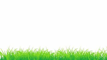Green Grass Moving in the Wind. Seamless Animation. A looped animation with an alpha channel on a transparent background of vibrant green grass swaying gracefully, creating a natural effect. video