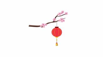 körsbär blomma gren med svängande kinesisk lykta animation. de animering är slinga, skapas i 4k upplösning, och kommer med ett alfa kanal på en transparent bakgrund. video