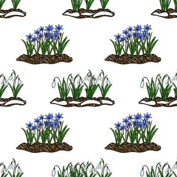 Seamless pattern featuring early spring flowers, snowdrops and scilla, emerging from snow-dusted soil. vector