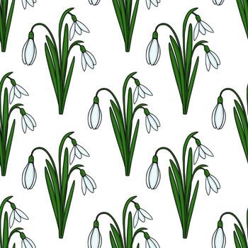 Snowdrop flower pattern design vector
