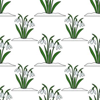 Snowdrop flowers pattern on white background vector
