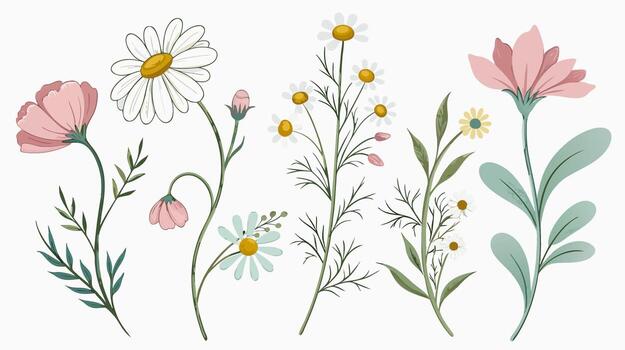 acuarela floral elementos aislado botánico gráficos para escalable diseño vector