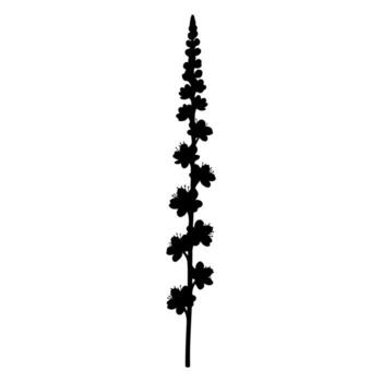 A vertical silhouette of a flowering plant stem with multiple blossoms and a pointed tip vector