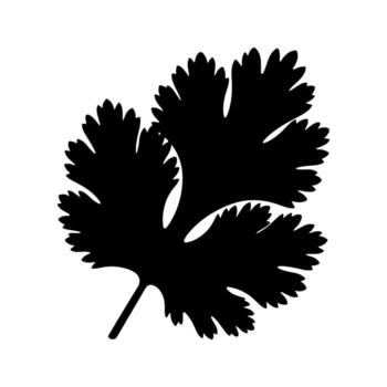 A black silhouette of a leaf with jagged edges and a stem on a white background vector
