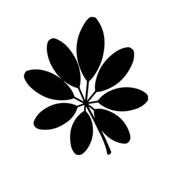 A black and white depiction of a single leaf, displaying a central stalk and multiple oval leaflets vector