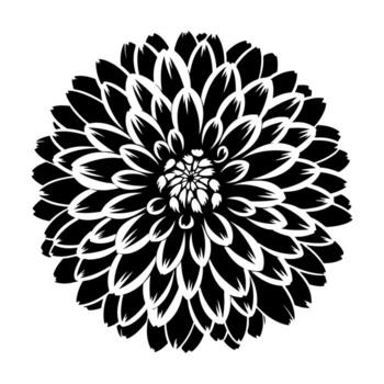 A black and white, graphic rendering of a symmetrical flower. Its petals are distinct and layered vector