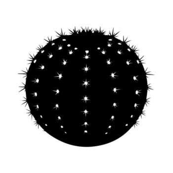 Bold black silhouette of a spherical cactus with sharp spines on white background vector